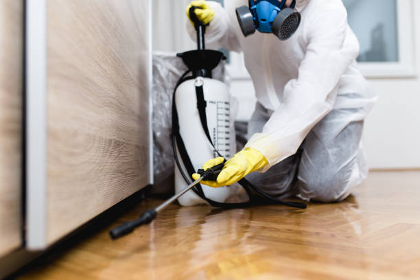 Best Pest Control Treatment  in Tipton, IN