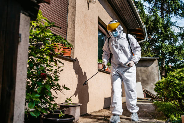 Best Wasp Removal Services  in Tipton, IN