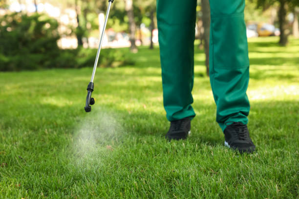 Professional Pest Control in Tipton, IN